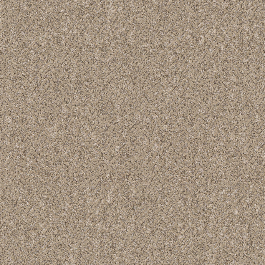 Shaw Floors - Carpet - Pet Perfect Collection - Joyful Spirit - 12' - Sand Castle