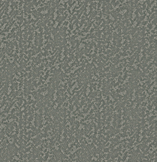Shaw Floors - Carpet - Pet Perfect Collection - Joyful Spirit - 12' - Dragonfly