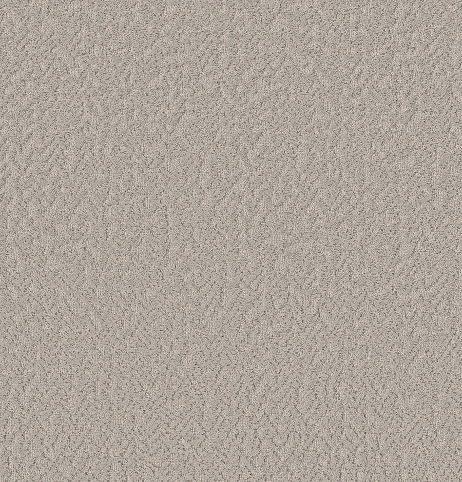 Shaw Floors - Carpet - Pet Perfect Collection - Joyful Spirit - 12' - Warm Hug