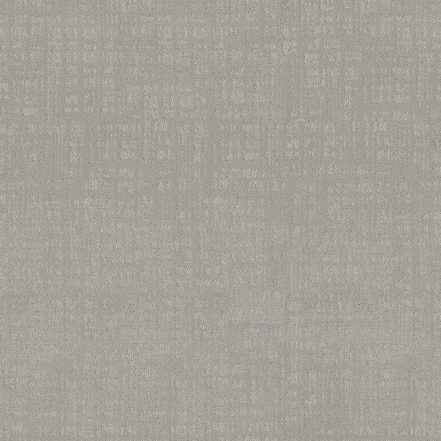 Shaw Floors - Carpet - Pet Perfect Collection - Natural Instinct - 12' - Stone