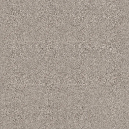 Shaw Floors - Carpet - COMFORTING I - Anonymous