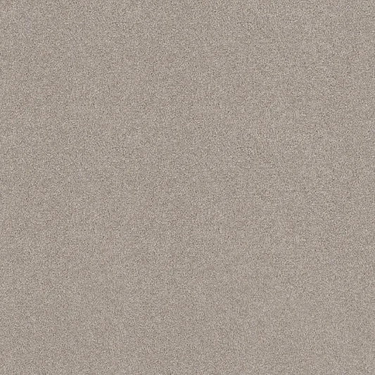 Shaw Floors - Carpet - COMFORTING II - Anonymous