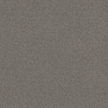 Shaw Floors - Carpet - Simply The Best  - Attainable - Arctic Shadow