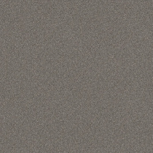 Shaw Floors - Carpet - Simply The Best  - Attainable - Arctic Shadow