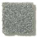 Shaw Floors - Carpet - Simply The Best  - Attainable - Arctic Shadow