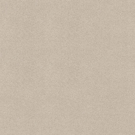 Shaw Floors - Carpet - COMFORTING II - Adobe