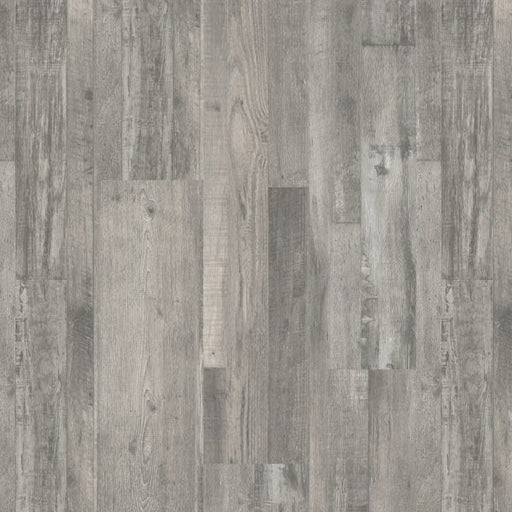 Kennedy - Shamrock Surfaces - Newport II Collection - Arctic Plank
