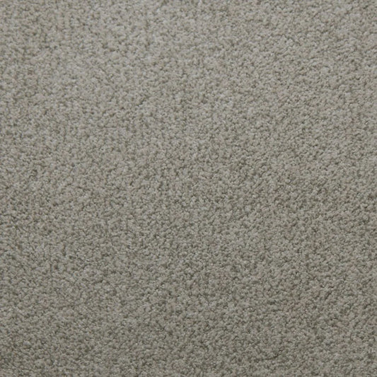 Primco - Estates Carpet - Soft Spoken Collection - Assurance