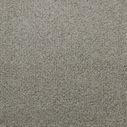 Primco - Estates Carpet - Tender Collection - Assurance