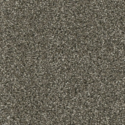 Primco - Estates Carpet - Majesty Collection - Awareness