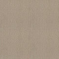 Shaw Floors - Carpet- Foundations Collection - Smart Thinking - Barista