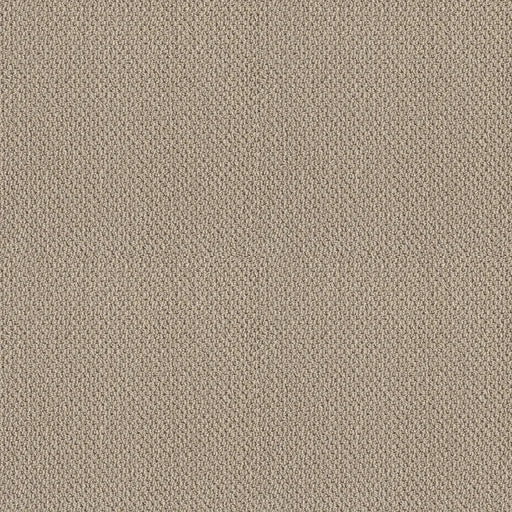 Shaw Floors - Carpet- Foundations Collection - Smart Thinking - Barista