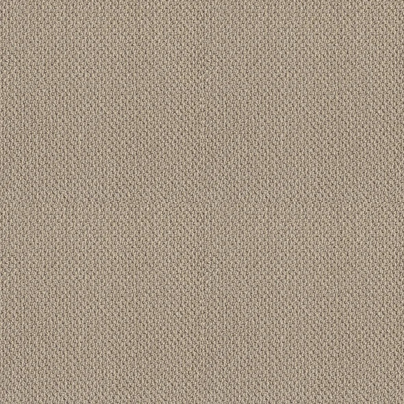 Shaw Floors - Carpet- Foundations Collection - Smart Thinking - Barista