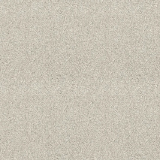 Shaw Floors - Carpet - Simply The Best  - Attainable - Blizzard