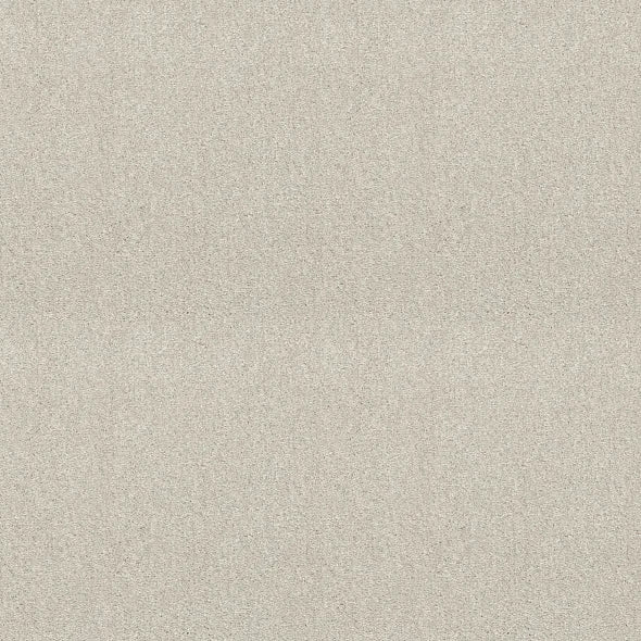 Shaw Floors - Carpet - Simply The Best  - Attainable - Blizzard