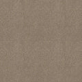 Shaw Floors - Carpet - COMFORTING I - Boardwalk
