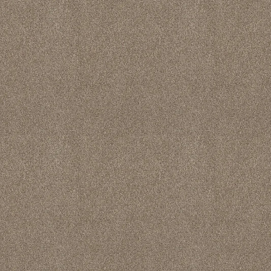 Shaw Floors - Carpet - COMFORTING II - Boardwalk