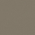 Shaw Floors - Carpet - Classics Collection  - Awaken Spirit II - 12' - Bungalow