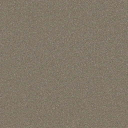 Shaw Floors - Carpet - Classics Collection  - Awaken Spirit II - 12' - Bungalow