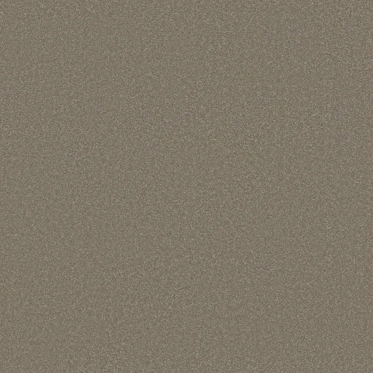 Shaw Floors - Carpet - Classics Collection  - Awaken Spirit II - 15' - Bungalow