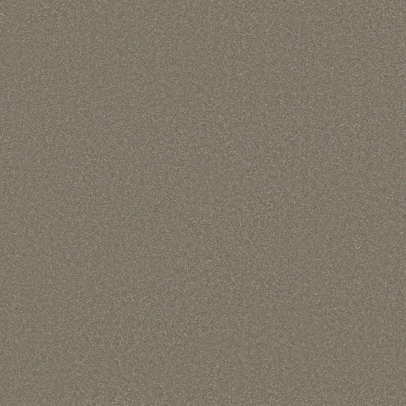 Shaw Floors - Carpet - Classics Collection  - Awaken Spirit II - 12' - Bungalow