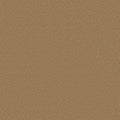 Shaw Floors - Carpet - Classics Collection  - Awaken Spirit II - 15'- Warm Brass