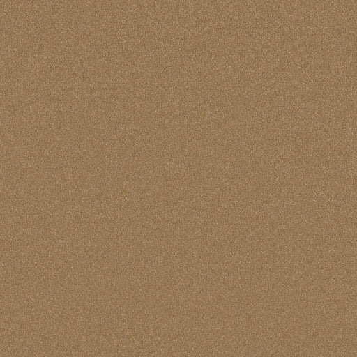 Shaw Floors - Carpet - Classics Collection  - Awaken Spirit I 12'- Warm Brass