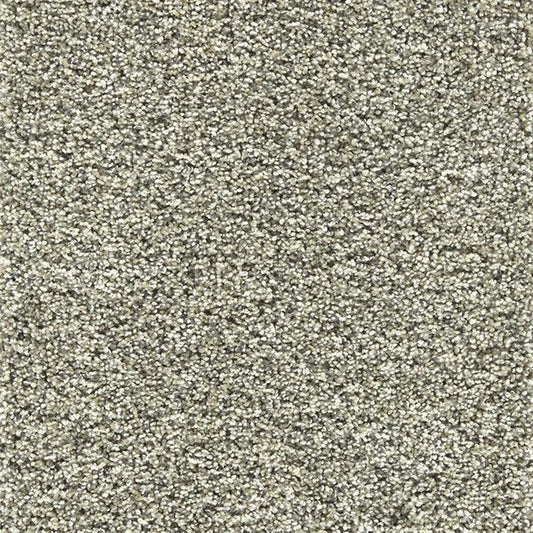 Primco - Estates Carpet - Ambassador Collection - Ashen