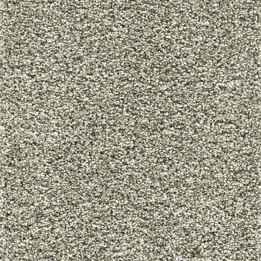 Primco - Estates Carpet - Ambassador Collection - Ashen
