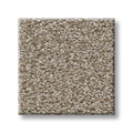 Shaw Floors - Carpet - Simply The Best  - TRUSOLUTIONS III - Beach Cabana