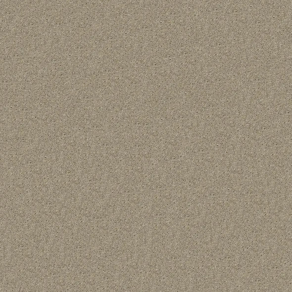 Shaw Floors - Carpet - Full Court 12' - Bare Mineral