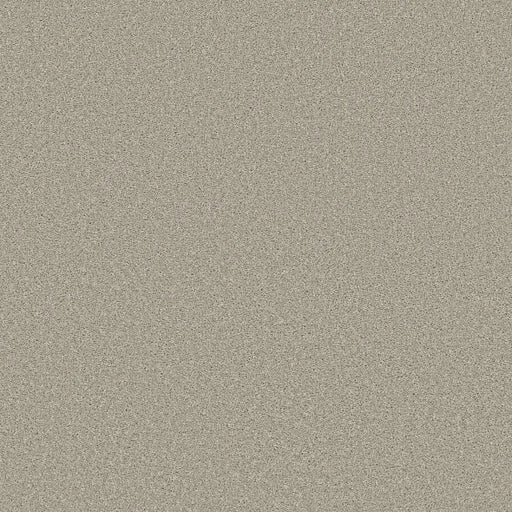 Shaw Floors - Carpet - Simply The Best  - TRUSOLUTIONS III - Bleached Oak