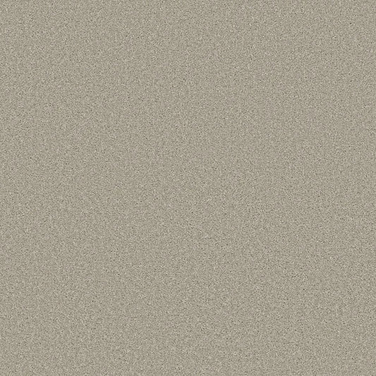 Shaw Floors - Carpet - Simply The Best  - TRUSOLUTIONS III - Bleached Oak