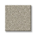 Shaw Floors - Carpet - Simply The Best  - TRUSOLUTIONS III - Bleached Oak