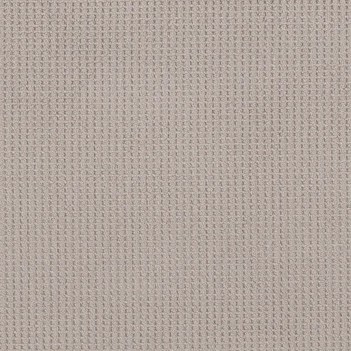 Shaw Floors - Carpet - Foundations Collection - Faint Intent - Baltic Stone