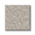 Shaw Floors - Carpet - Foundations Collection  - Alluring Canvas - Baltic Stone