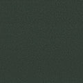 Shaw Floors - Carpet - Classics Collection  - Awaken Spirit II - 15' - Blue Spruce