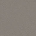 Shaw Floors - Carpet - Classics Collection  - Awaken Spirit I 12' - Boulder Taupe