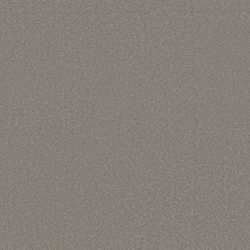 Shaw Floors - Carpet - Classics Collection  - Awaken Spirit II - 12' - Boulder Taupe