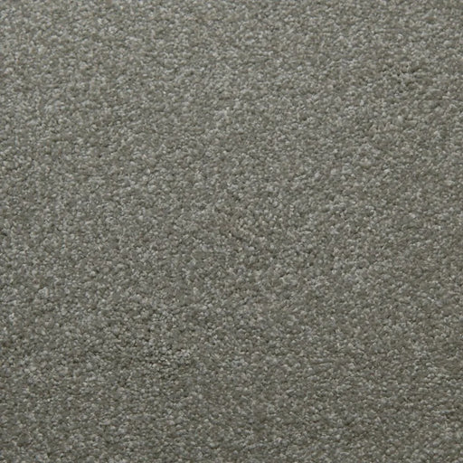 Primco - Estates Carpet - Soft Spoken Collection - Balance