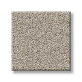 Shaw Floors - Carpet- Foundations Collection - HARMONIOUS II - Baltic Stone