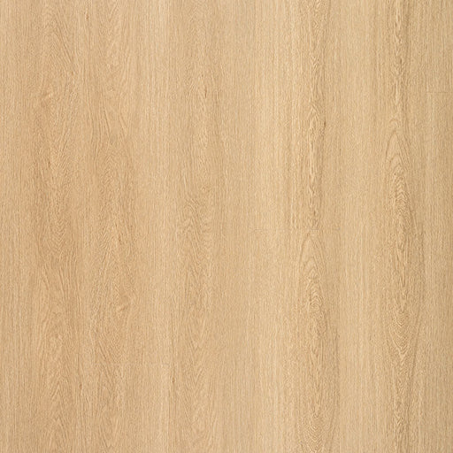 MSI Surfaces - Laurel Collection - Bayside Bluff