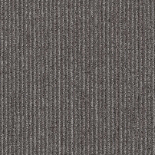 Shaw Floors - 5th & Main Carpet - Native Collection - BELONGING