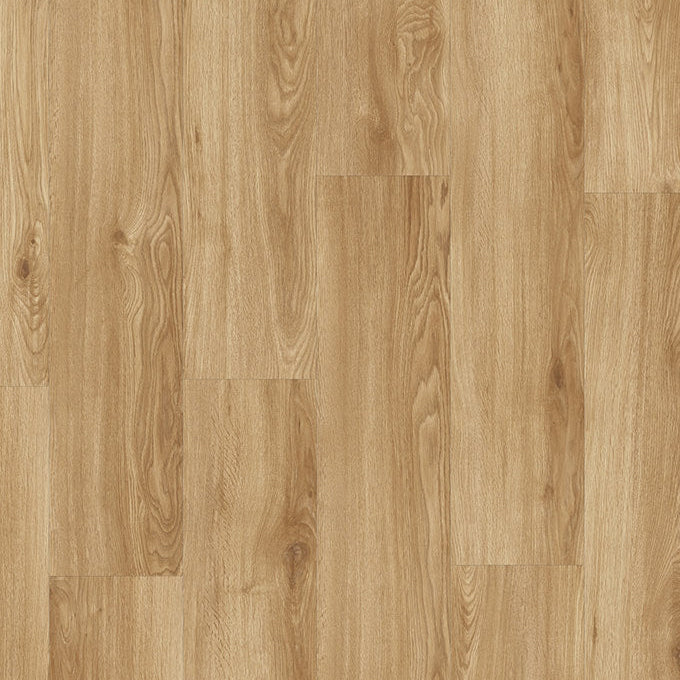 TORLYS - UltraWood - UltraWood Premier - Belvoir