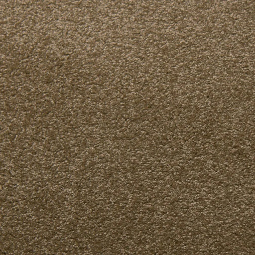 Primco - Estates Carpet - Tender Collection - Buff