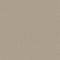 Shaw Floors - Carpet - COMFORTING I - Chamois