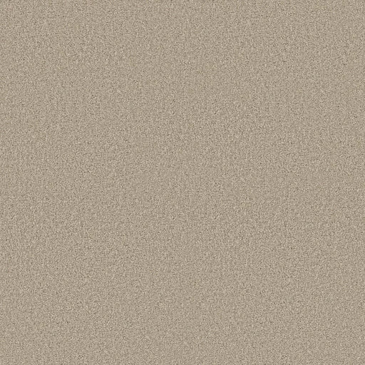 Shaw Floors - Carpet - COMFORTING II - Chamois