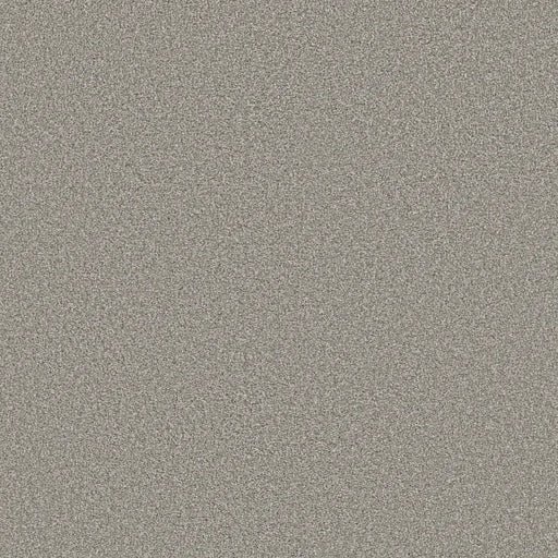 Shaw Floors - Carpet - Simply The Best  - TRUSOLUTIONS III - Concrete