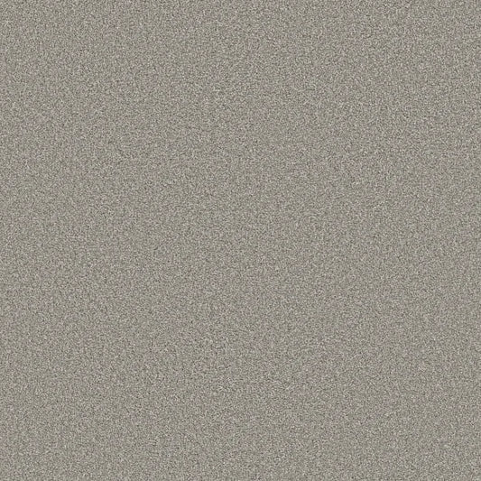 Shaw Floors - Carpet - Simply The Best  - TRUSOLUTIONS III - Concrete