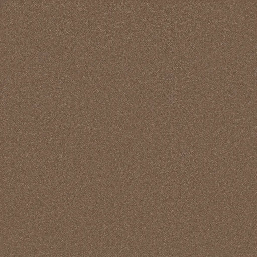 Shaw Floors - Carpet - Classics Collection  - Awaken Spirit II - 12' - Copperglaze
